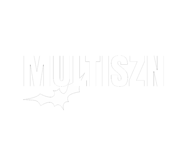 Multiszn logo